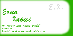 erno kapui business card